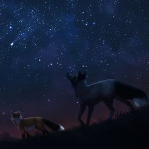 Profile Picture of Nanda Octavianus (@black_belt_octavius) on Myspace