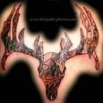 Profile Picture of BrytonAkridge (@whitney_wild_cats_25) on Instagram