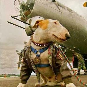 Profile Picture of lynnettemccloskey (@lynnettemccloskey) on Tiktok