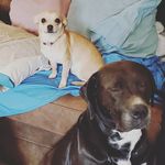 Profile Picture of Jayla Albrecht (@jaylaalbrecht) on Instagram