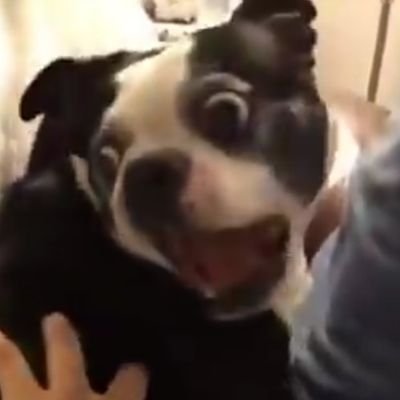 Aamer Amin - Twitter Profile Picture of Aamer Amin (@AamerAmin3) on Twitter