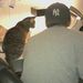 Profile Picture of James Grimmer (@jameswgrimmer) on Pinterest
