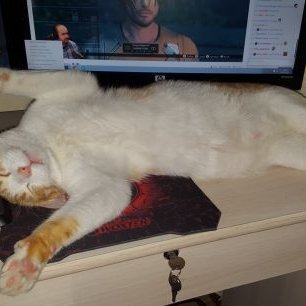 Profile Picture of Alex SecreT Valdes (@HeroesSecreT) on Twitter