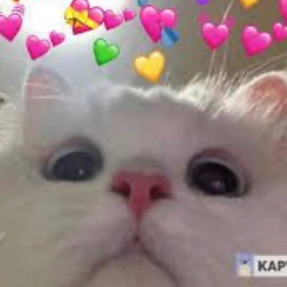 Profile Picture of Alex Broderick (@alexb9877) on Poshmark