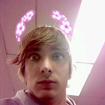 SwiftBunny5020 - Twitter Profile Picture of SwiftBunny5020 (@JamesCranmer14) on Twitter