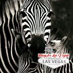 Profile Picture of Mark Linsley (@mark.linsley.7) on Instagram