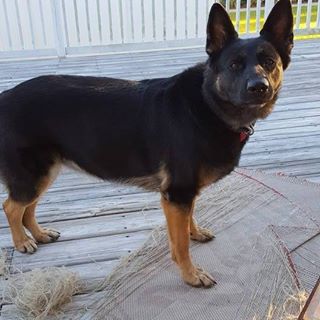 James Beller - Facebook Profile Picture of James Beller (@james.beller.503) on Facebook