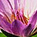 Profile Picture of Karol Salcedo (@karol_tony@flickr) on Flickr