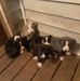 Profile Picture of Randy Shoffner (@randy.shoffner.12) on Facebook