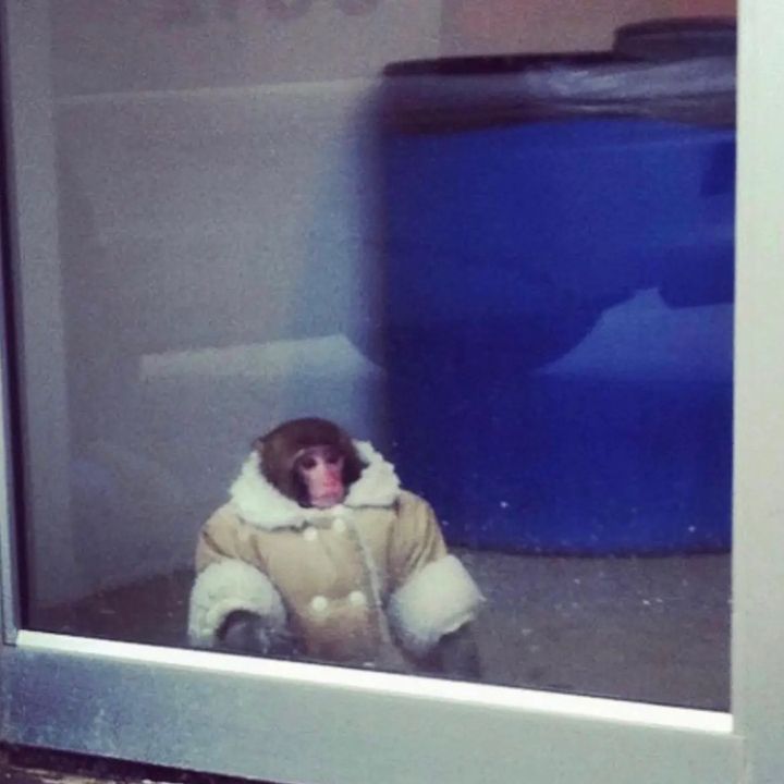 Profile Picture of Christopher (@yeets_chris) on Tiktok