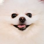 Profile Picture of Julia (@eulo) on Instagram