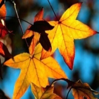 Profile Picture of Jetta Clark (@JettaClark) on Twitter