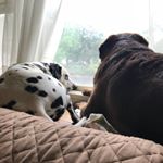 Profile Picture of Hazel Stratton (@hazelandleia) on Instagram