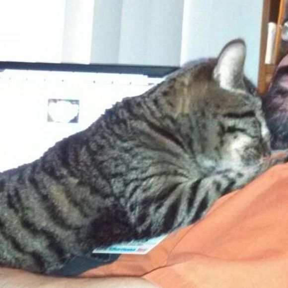 Profile Picture of Christopher Bowman (@ffa2dramachick) on Poshmark