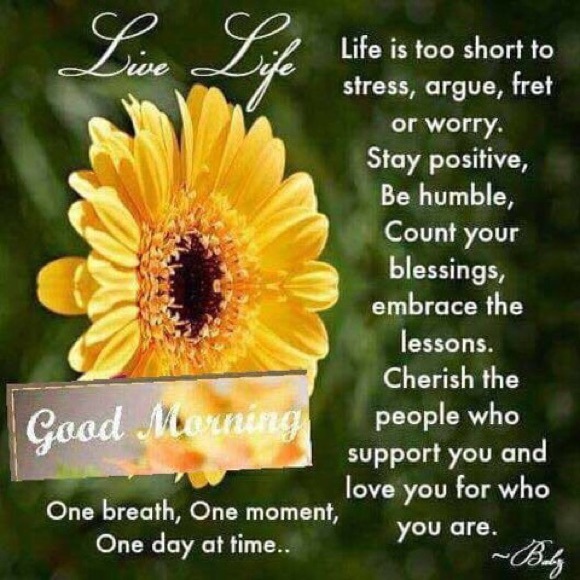 Profile Picture of Renee Graham (@rgrahamm) on Poshmark