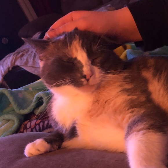 Profile Picture of Jennifer Consolie (@jconsolie) on Poshmark