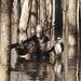 Profile Picture of Michael Perley (@michaelperley9) on Pinterest