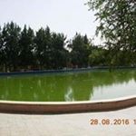 kasimi noradin - Instagram Profile Picture of kasimi noradin (@kasiminoradin) on Instagram