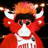 Profile Picture of   Who do you want to see do... (@bennythebull) on Tiktok