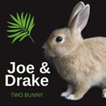 Profile Picture of BUNNY Joe & Drake (@joeanddrake) on Instagram