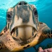 Profile Picture of Avery Stout (@averystout9579) on Youtube