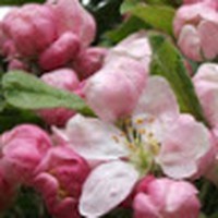 Profile Picture of Pamela Rigby (@pamela-rigby-4) on Quora