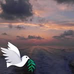 Profile Picture of Daniel Katie (@daniel.katie.899575) on Facebook