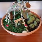 Profile Picture of Jardim Dos Lapinhas (@jardimdoslapinhas) on Instagram