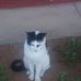 Profile Picture of Jean Swart (@jean.swart.121) on Facebook