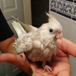 Profile Picture of Avinesh Lal Maharaj (@avimaharaj) on Instagram