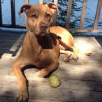 Profile Picture of Peter Moro (@petersmoro) on Instagram