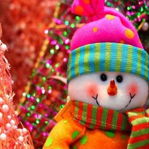 Alecia Ann Parks - Twitter Profile Picture of Alecia Ann Parks (@AleciaAnnParks1) on Twitter