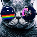 Profile Picture of Alex Lindgren (@alex_l99_) on Instagram