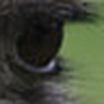 Profile Picture of Benjamin Simmons (@simmonsb1138) on Flickr