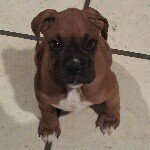 Profile Picture of Shawn Judd (@0532_judd) on Instagram