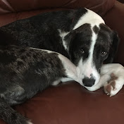 Profile Picture of Ellen Bailey (@ellensears1813) on Youtube