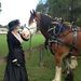 Profile Picture of Jenny Paterson (@clydesdalesrest) on Pinterest
