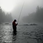 Profile Picture of Robert Proulx (@robert.proulx2) on Instagram