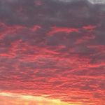 Profile Picture of Carol Eicher (@carol_eicher) on Instagram