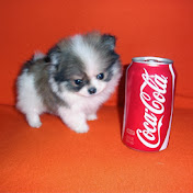 Profile Picture of Katelyn Nguyen (@katelynnguyen6983) on Youtube