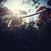 Profile Picture of cheng matt (@zl00lz) on Pinterest