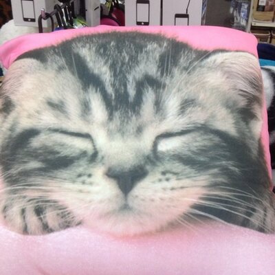 Profile Picture of Melissa Jacqueson Twitter