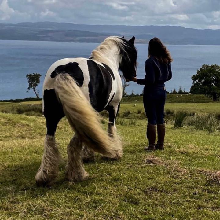 Profile Picture of Rowan Hayes (@rowan_hayes) on Tiktok