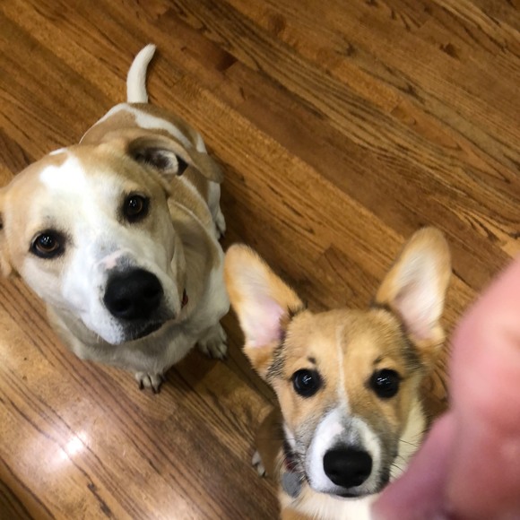 Profile Picture of Kathy Lesner (@klesner17) on Poshmark