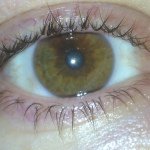 Profile Picture of Joe Pyle (@jmpyleny17) on Instagram