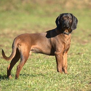 Profile Picture of Claudia Hall (@claudia.hall.507679) on Facebook