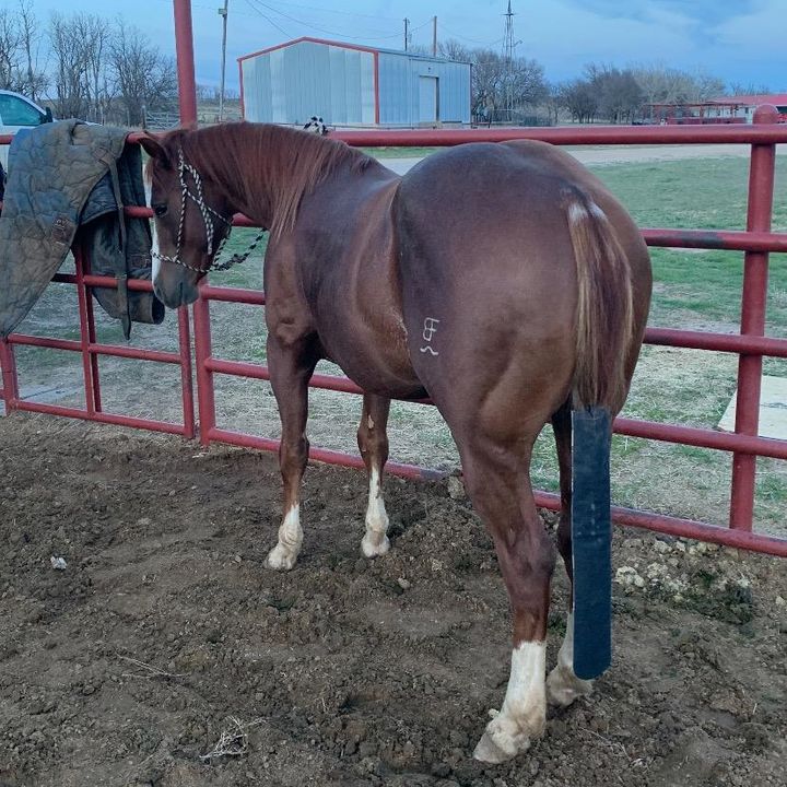 Profile Picture of Taryn Long827 (@tarynlong3) on Tiktok