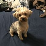 Profile Picture of Steve Kittrell (@steve.kittrell) on Instagram