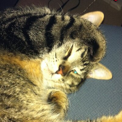 Profile Picture of Keith Gagne (@keith_gagne) on Twitter