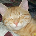 Profile Picture of Ben Braxton (@bb39073) on Instagram